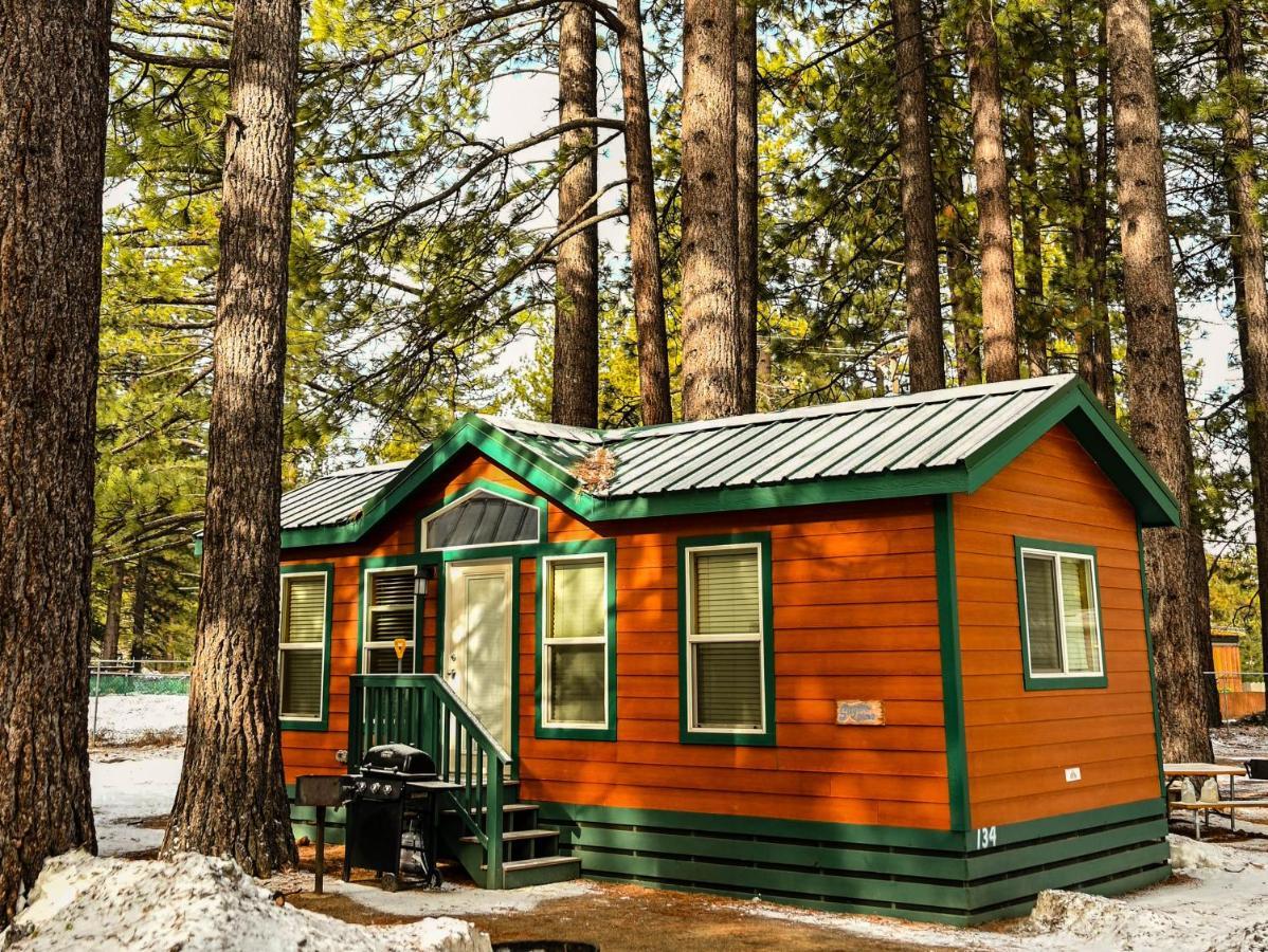 Tahoe Valley Cottage 2 南太浩湖 外观 照片